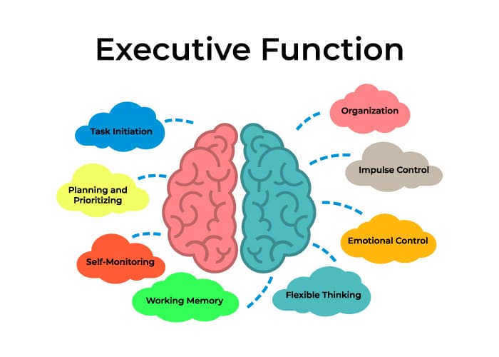 Executive funcion 1 image